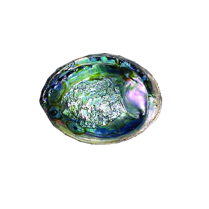 Abalone Shell Burn Bowl