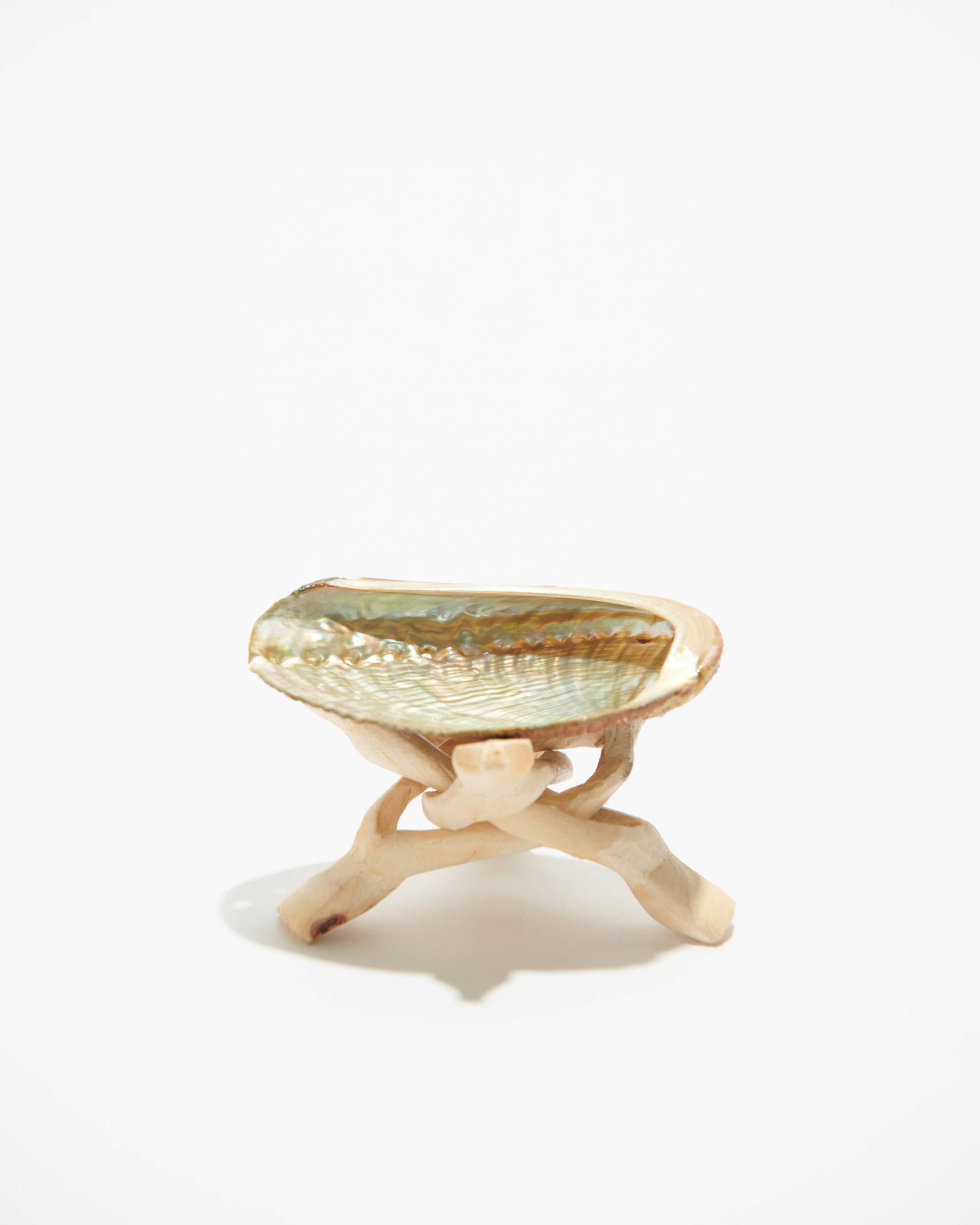 Abalone Shell Wooden Stand