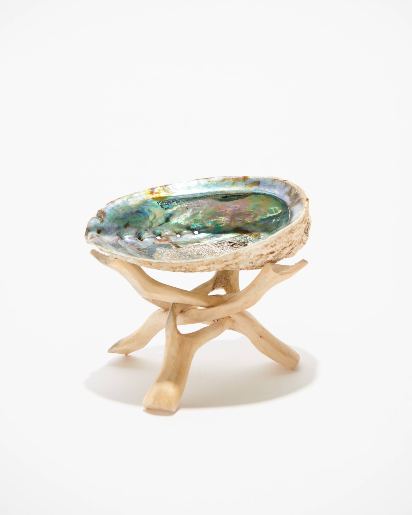 Abalone Shell Wooden Stand