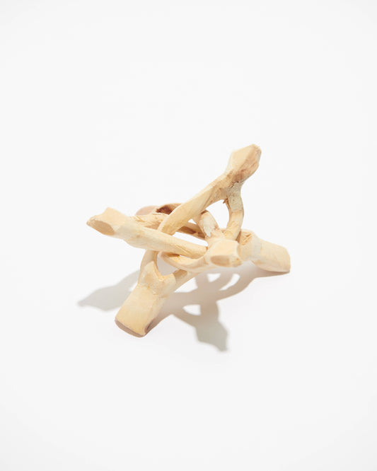 Abalone Shell Wooden Stand