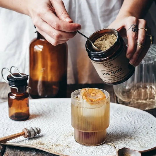 Anima Mundi The Mind Powder