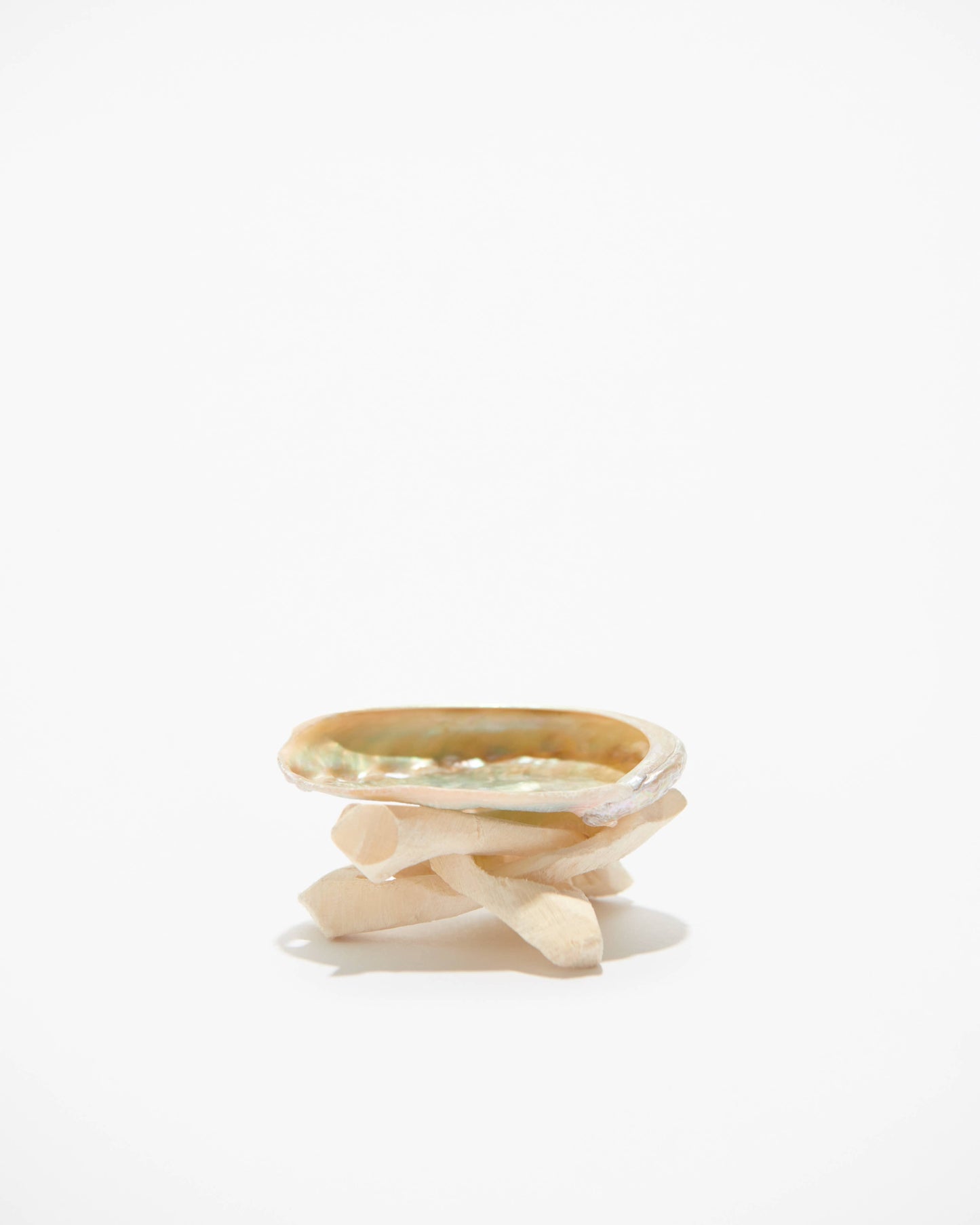 Abalone Shell Wooden Stand