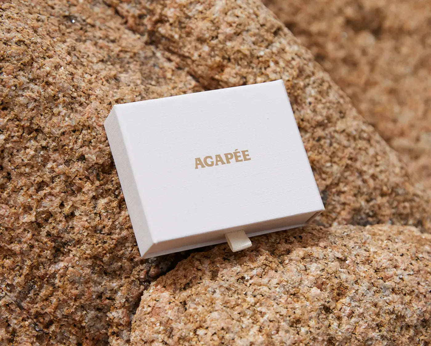 Agapée Horace Choker