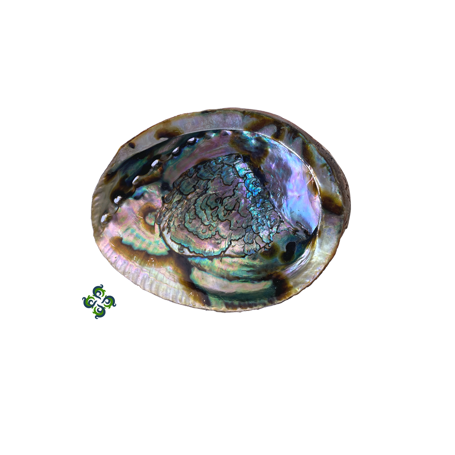 Abalone Shell Burn Bowl