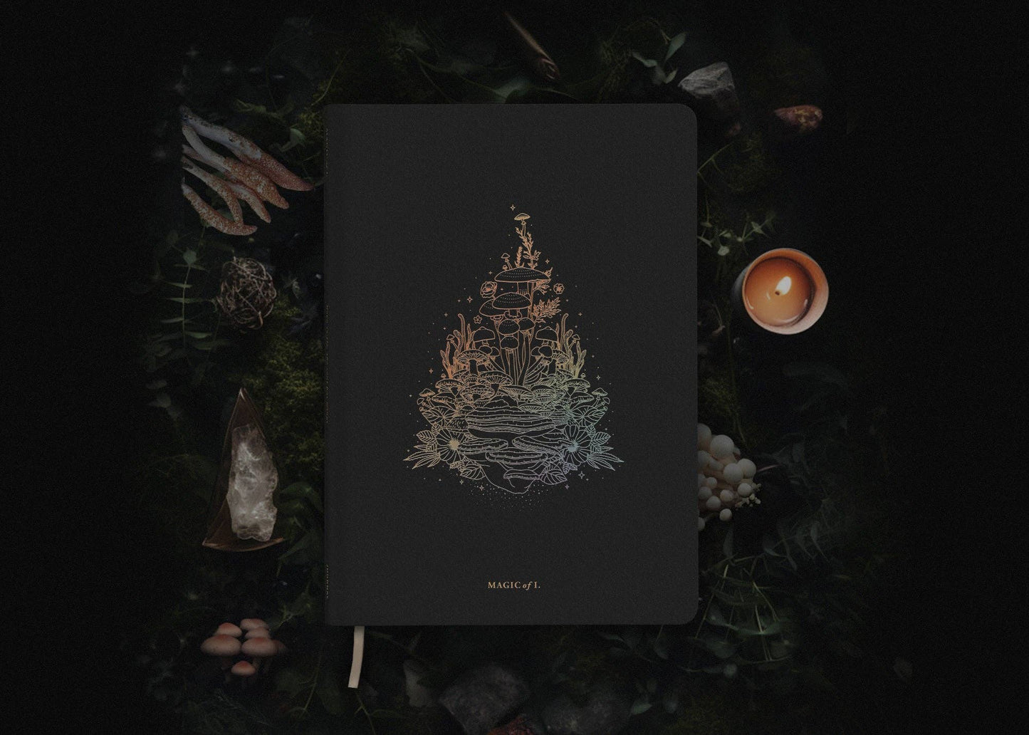 Astro-Mycology Journal: Earthly Delights