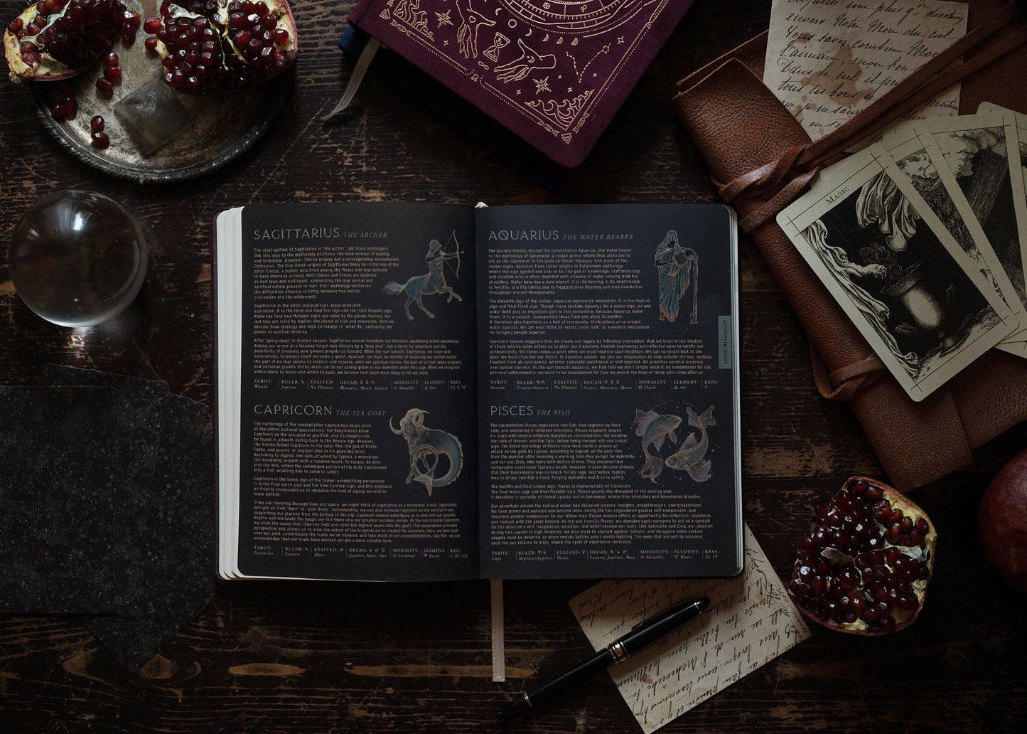 2026 Astrological Almanac & Guidebook - Midnight Velvet