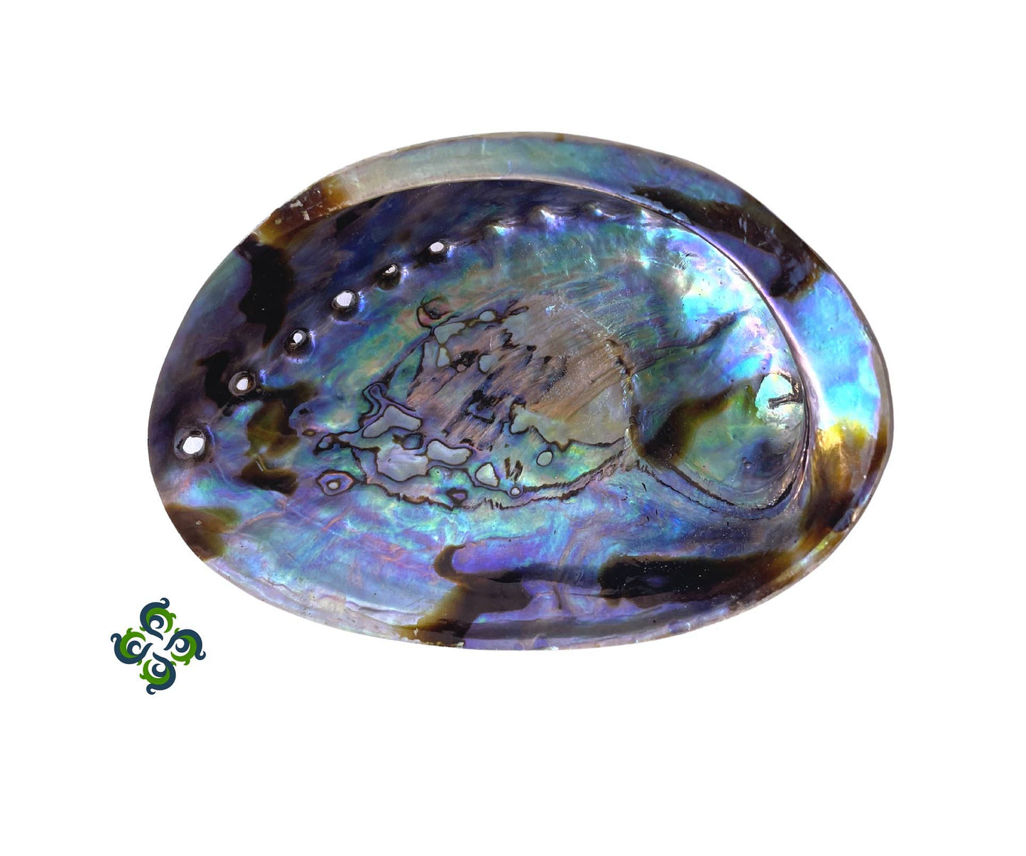 Abalone Shell Burn Bowl