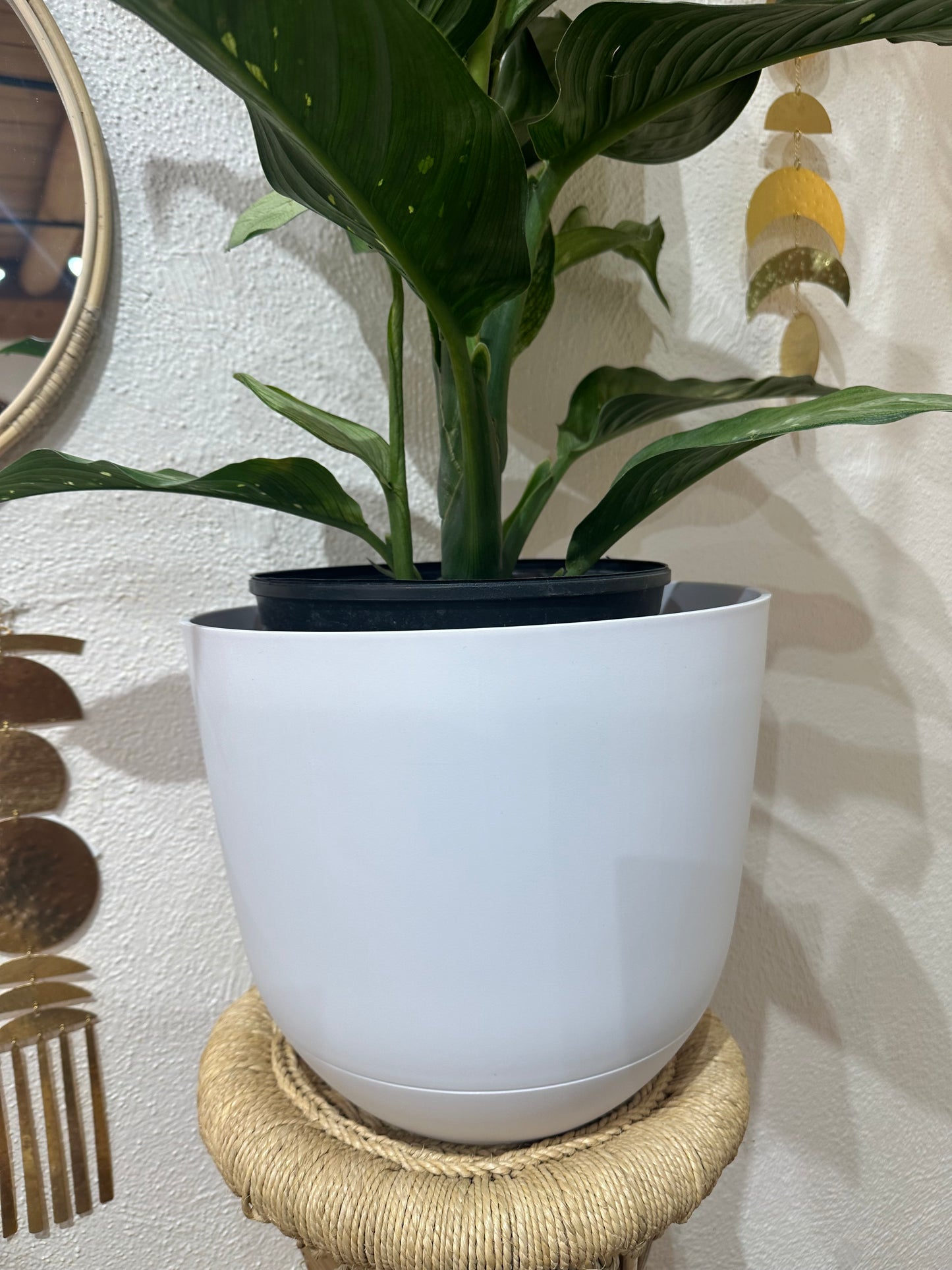 Self Watering Pot