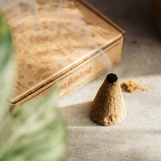 Palo Santo Incense Cones