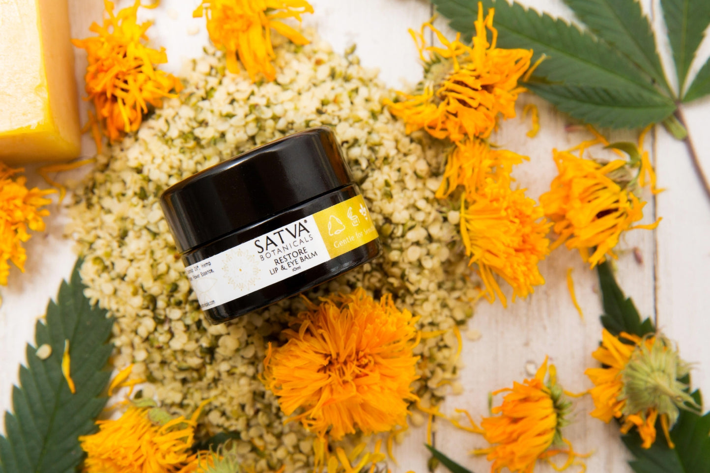 Satva Botanicals Restore Lip + Eye Balm