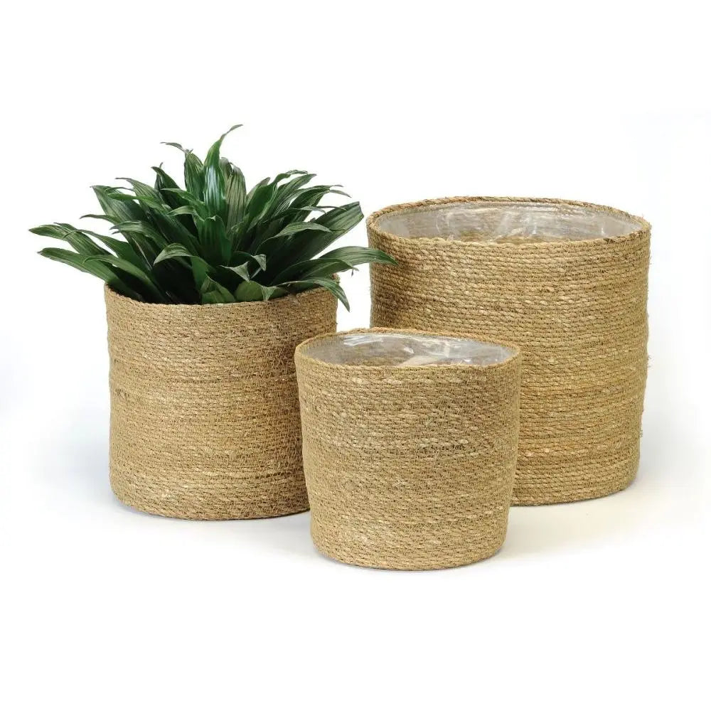 Seagrass Plant Baskets