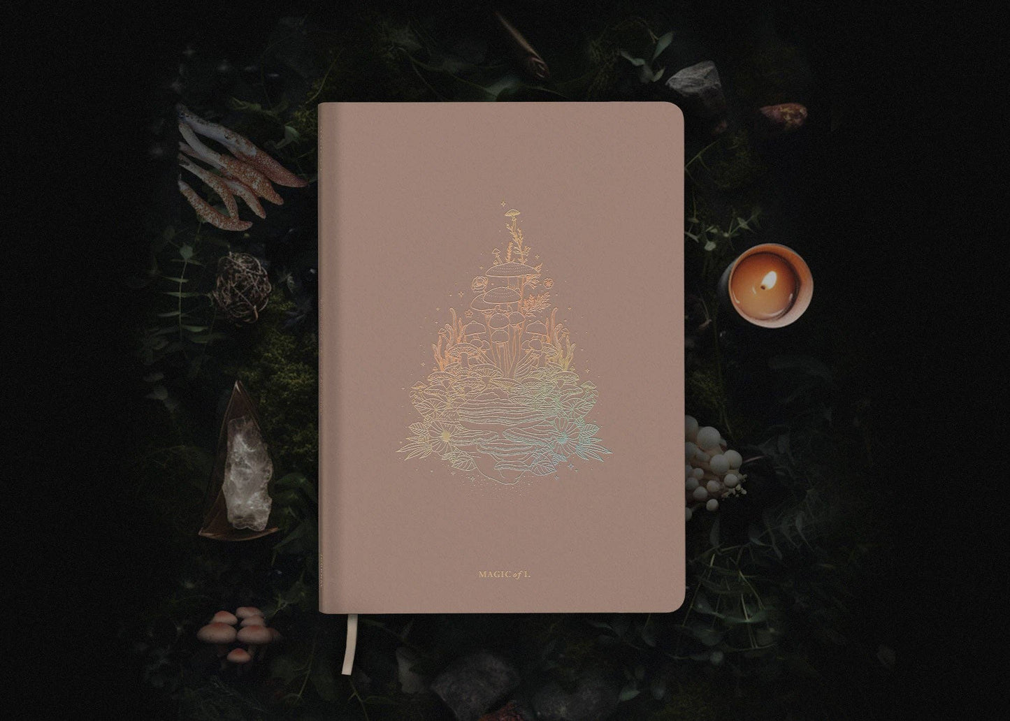 Astro-Mycology Journal: Earthly Delights