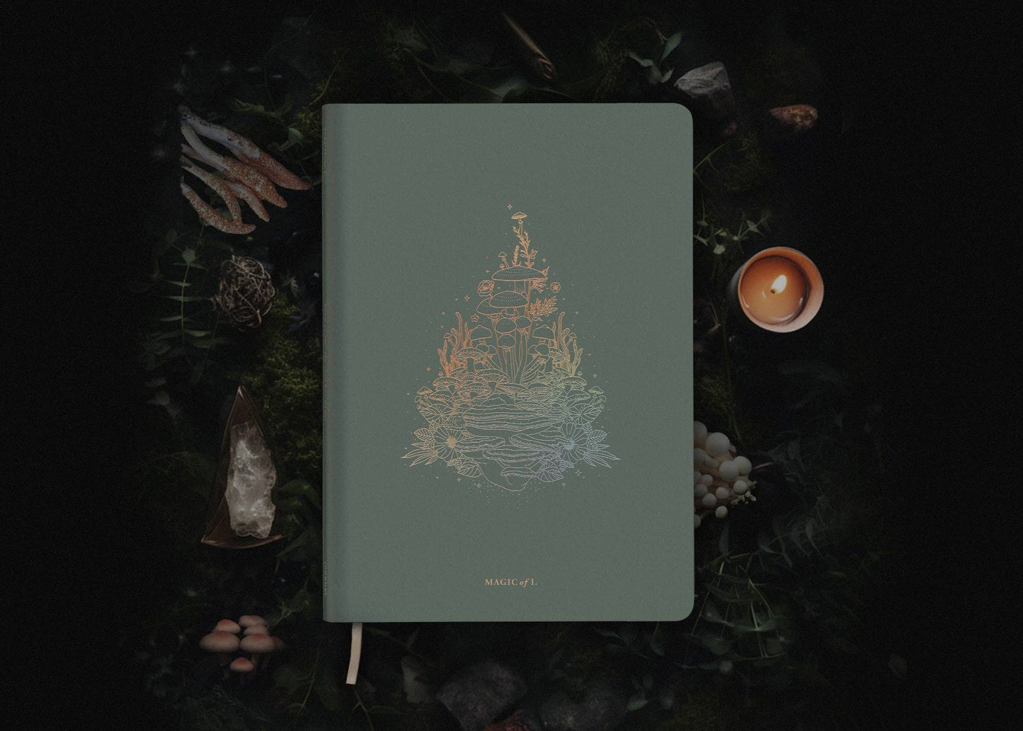 Astro-Mycology Journal: Earthly Delights