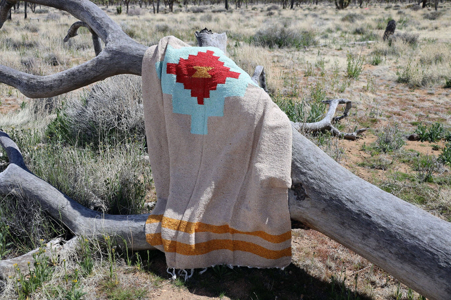 Tribe + True Taos Two Mesa Handwoven Blanket