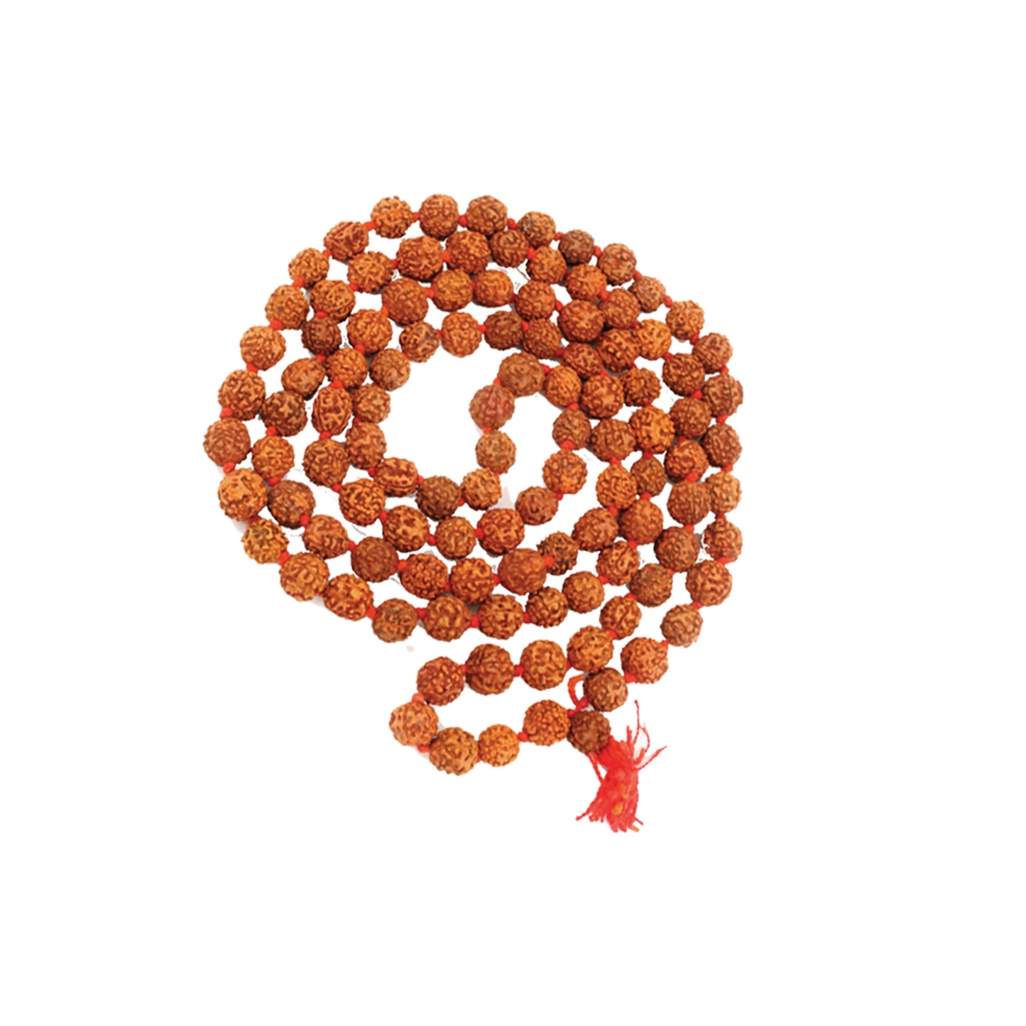 Mala Beads - Large Rudraksh